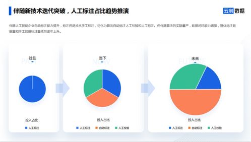 AI數(shù)據(jù)服務(wù) 去偽存真，打通智能駕駛?cè)珗?chǎng)景落地?cái)?shù)據(jù)閉環(huán)